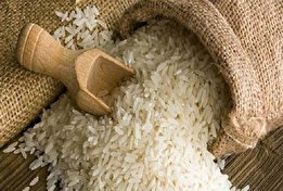 قیمت جدید انواع برنج را بدانید