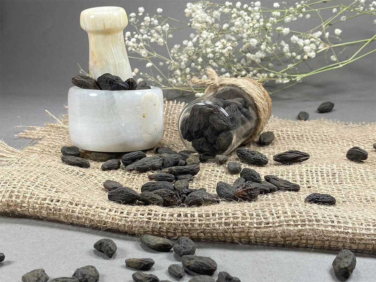 خواص هلیله سیاه