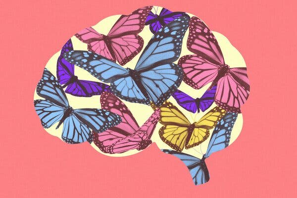 وقتی عاشق میشویم چه اتفاقی برای مغز میافتد؟ وقتی عاشق میشویم چه اتفاقی برای مغز میافتد؟