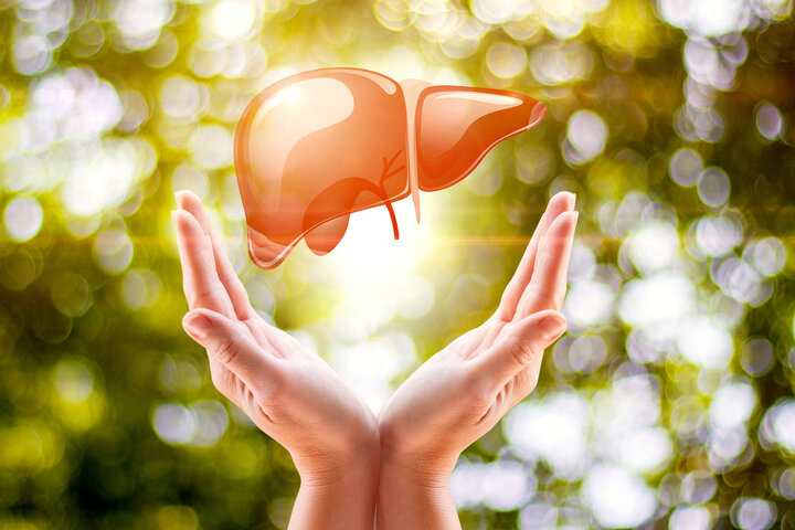 غذاهای ممنوعه برای کبد چرب غذاهای ممنوعه برای کبد چرب