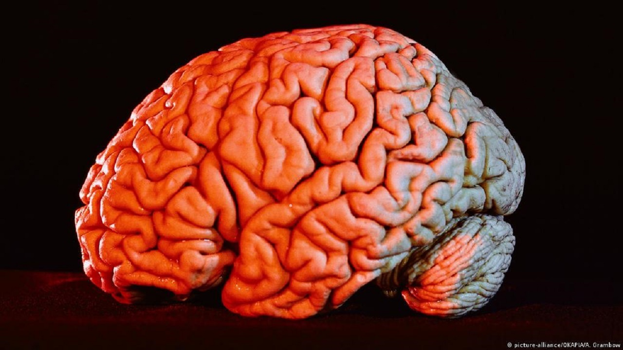 کرونای حاد روی تواناییهای مغز تاثیر می گذارد کرونای حاد روی تواناییهای مغز تاثیر می گذارد