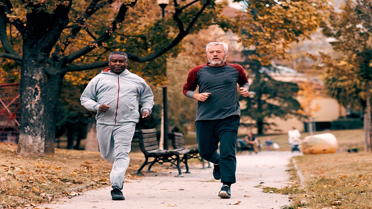 بدوید تا پیر نشوید بدوید تا پیر نشوید