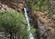 عکاسی جان مرد جوان را گرفت