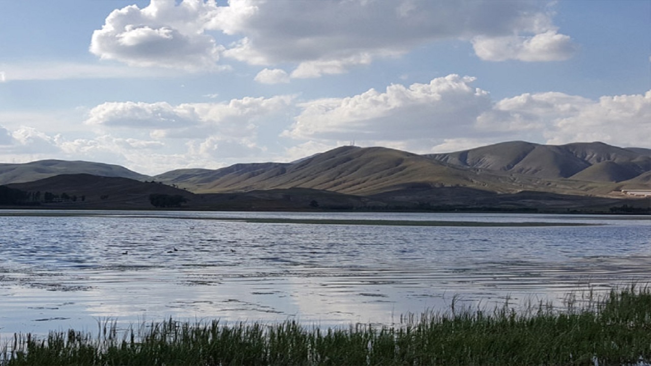 پاکسازی تالاب بینالمللی قوری گول پاکسازی تالاب بینالمللی قوری گول