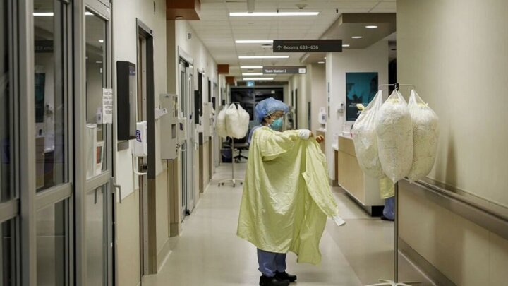 آبله میمون به فرانسه هم رسید!