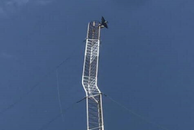 دکل ۲۰ متری خیابان انقلاب کج شد/ خطر از بیخ گوش همه گذشت کل کج شده خیابان انقلاب