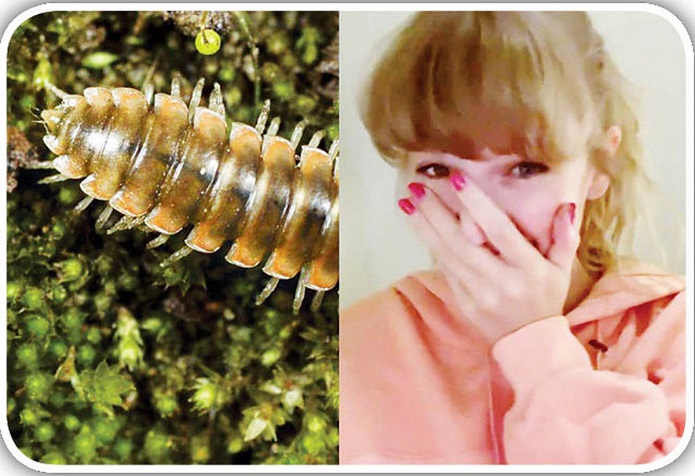 اشتراک علی دایی و تیلور سوئیفت تیلور سوئیفت