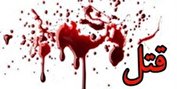 کارگر ساختمانی مالک را کشت