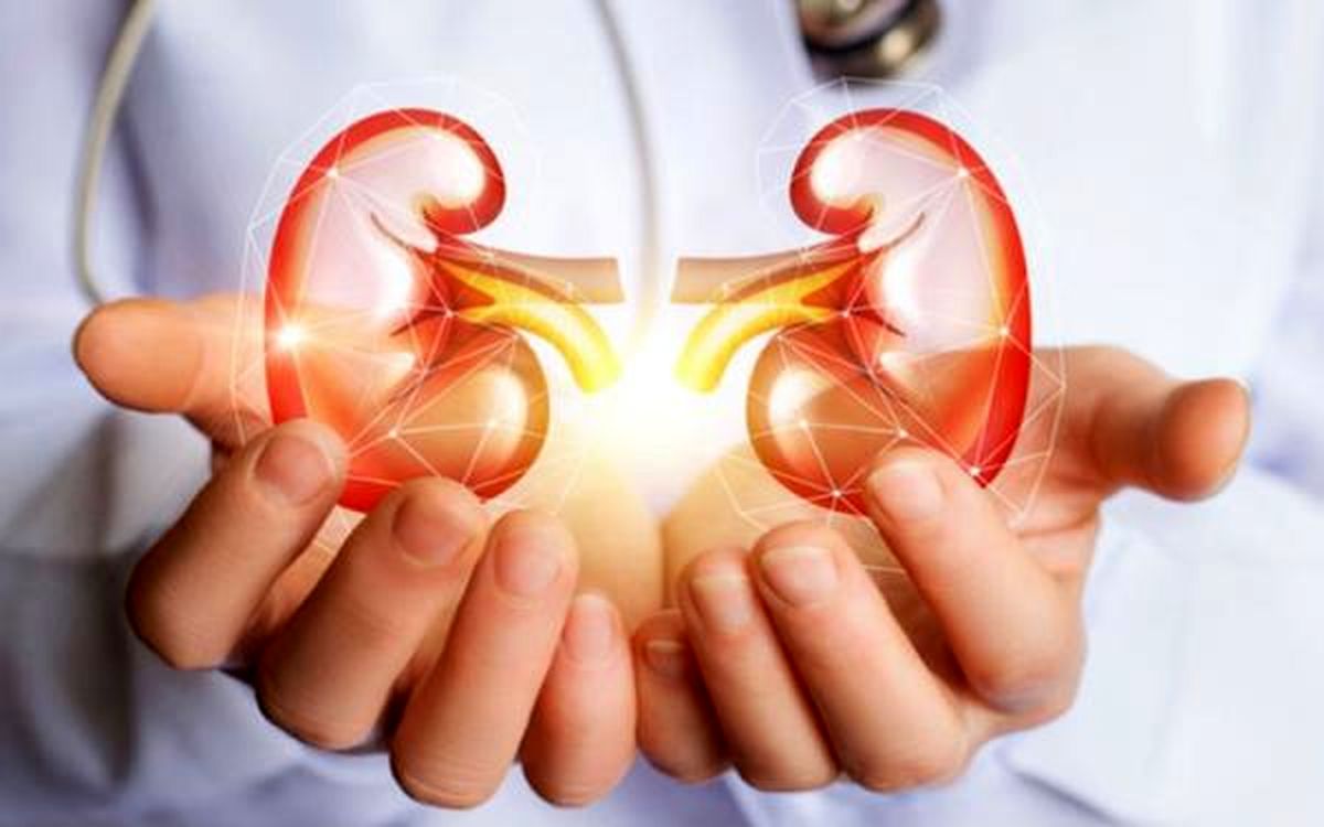 میوههای مفید و مضر برای سلامت کلیه میوههای مفید و مضر برای سلامت کلیه