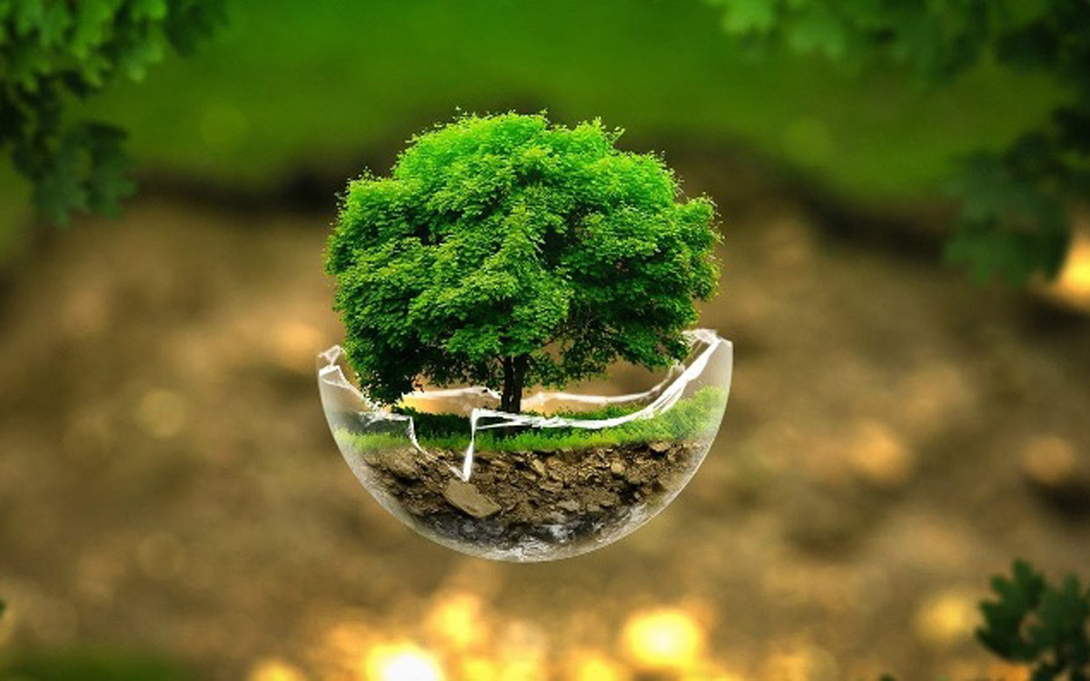 عامل نابودی گونههای زیست محیطی چیست؟ عامل نابودی گونههای زیست محیطی چیست؟