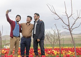 تماشای مزرعه لاله در روستای اسپره خون تبریز/تصاویر