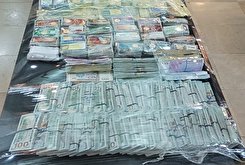 اولین تصاویر از اموال سرقت شده از صندوق امانات بانک ملی/ فیلم
