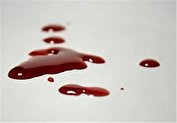 قتل میانجی در دعوای برادرزن و داماد