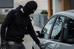 سرقت وحشیانه پژو ۲۰۶ از یک زن مقابل خانه / فیلم