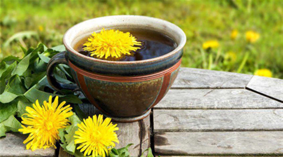 بهترین غذاها یا خوراکیها برای تصفیه خون بهترین غذاها یا خوراکیها برای تصفیه خون