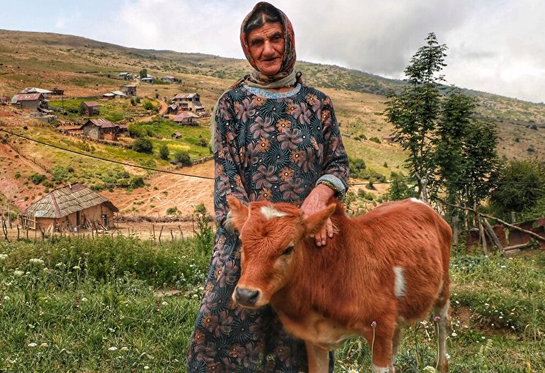 دامداری سنتی مازندران
