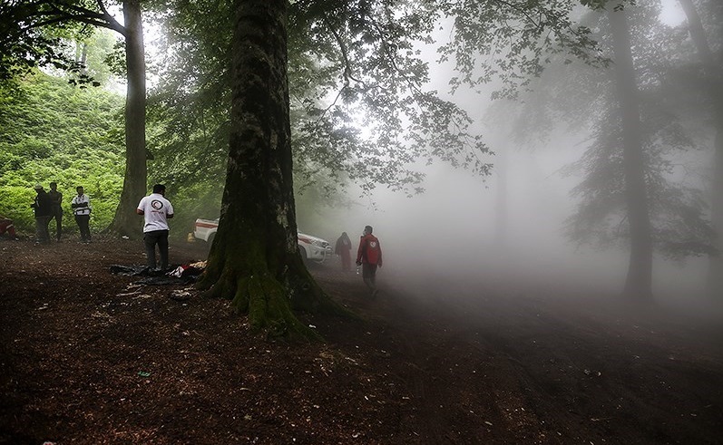 مرد چوپان پسر گمشده را نجات داد پسرگمشده در جنگل