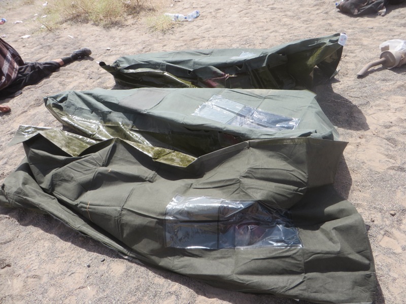 تصادف مرگبار