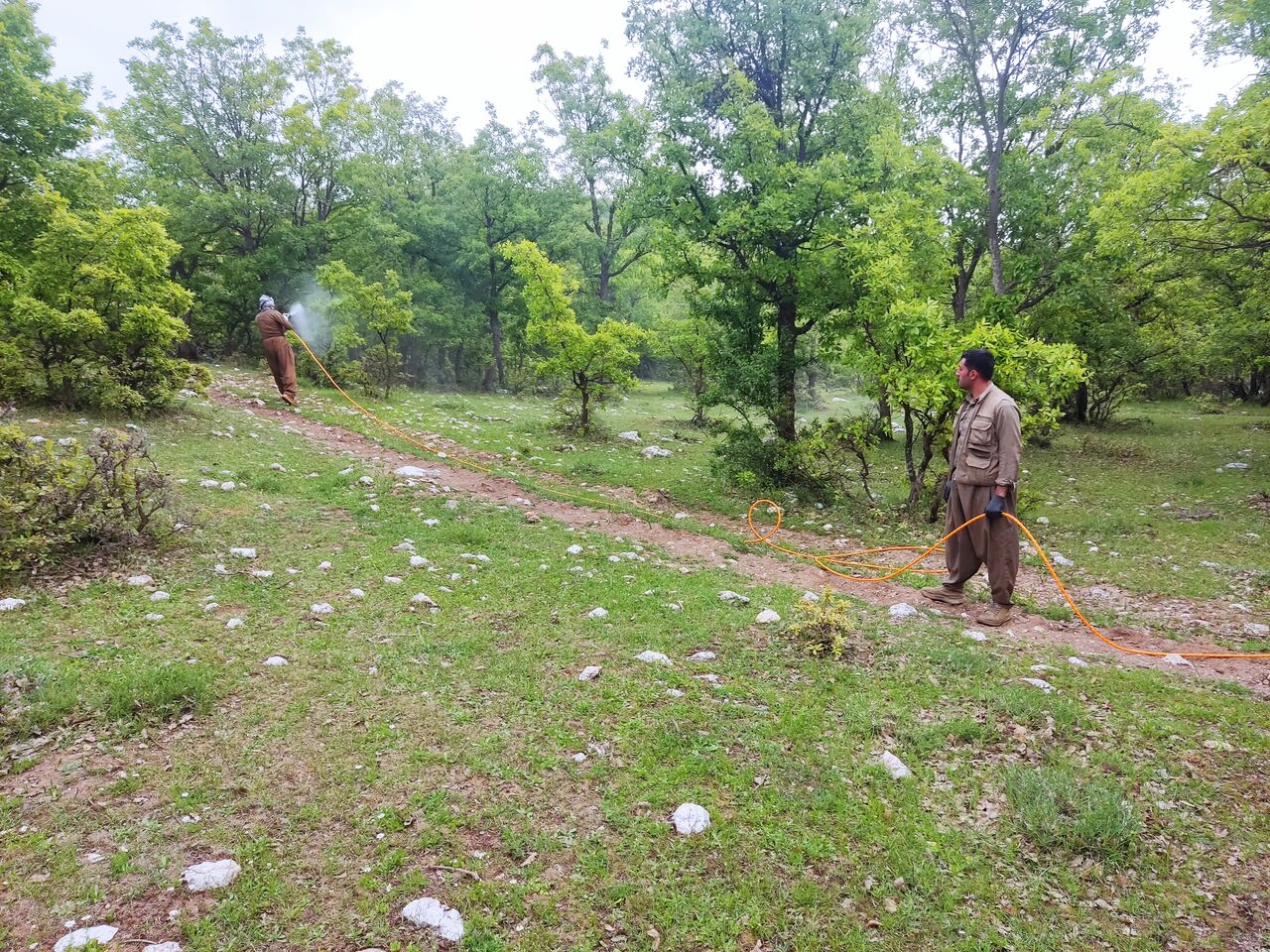 خشکسالی چه بلایی بر سر جنگلهای زاگرس میآورد؟ خشکسالی چه بلایی بر سر جنگلهای زاگرس میآورد؟