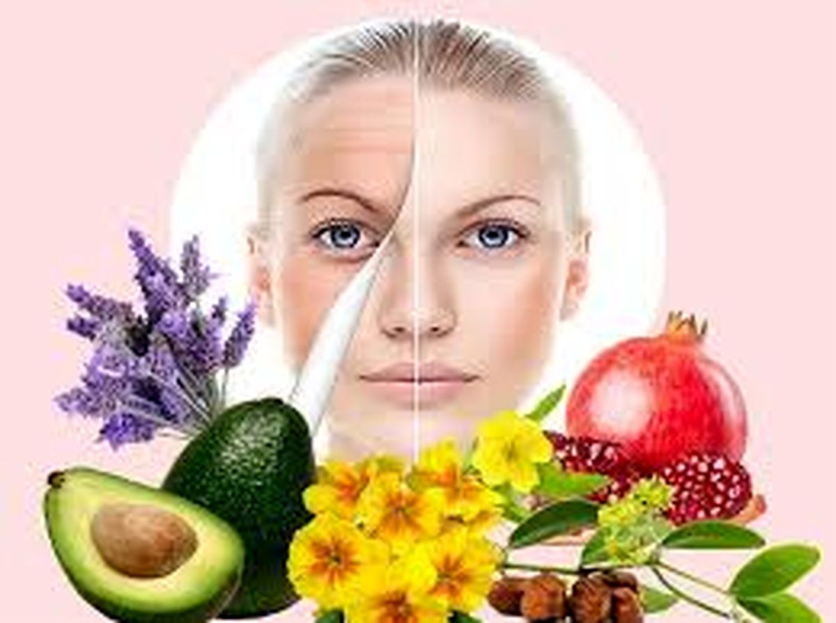 خوراکیهای که خاصیت ضد پیری دارند خوراکیهای که خاصیت ضد پیری دارند