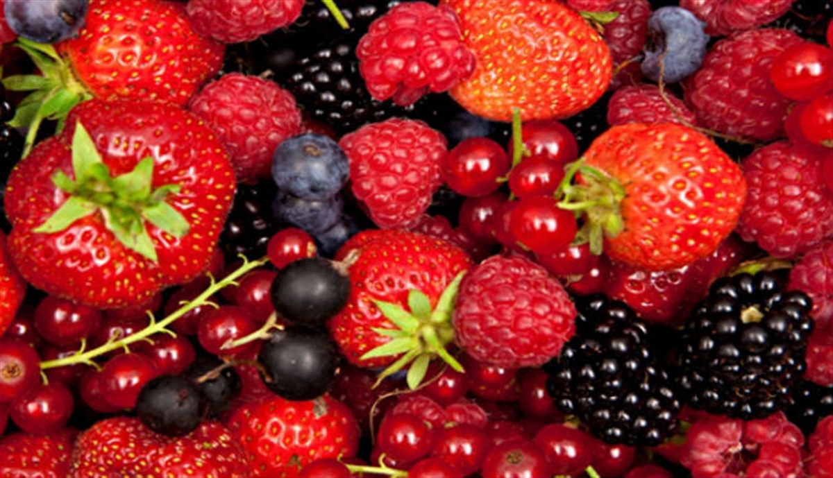 خوردنیهای مناسب برای درمان غلظت خون بالا خوردنیهای مناسب برای درمان غلظت خون بالا