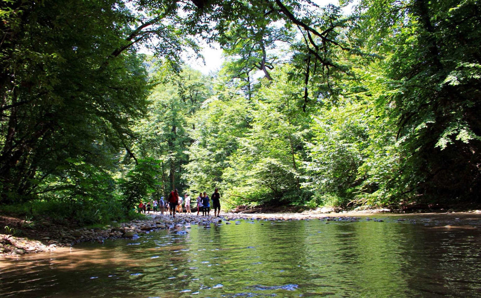 معرفی رازهای نهفته جنگل جیغ روستای سربرج معرفی رازهای نهفته جنگل جیغ روستای سربرج