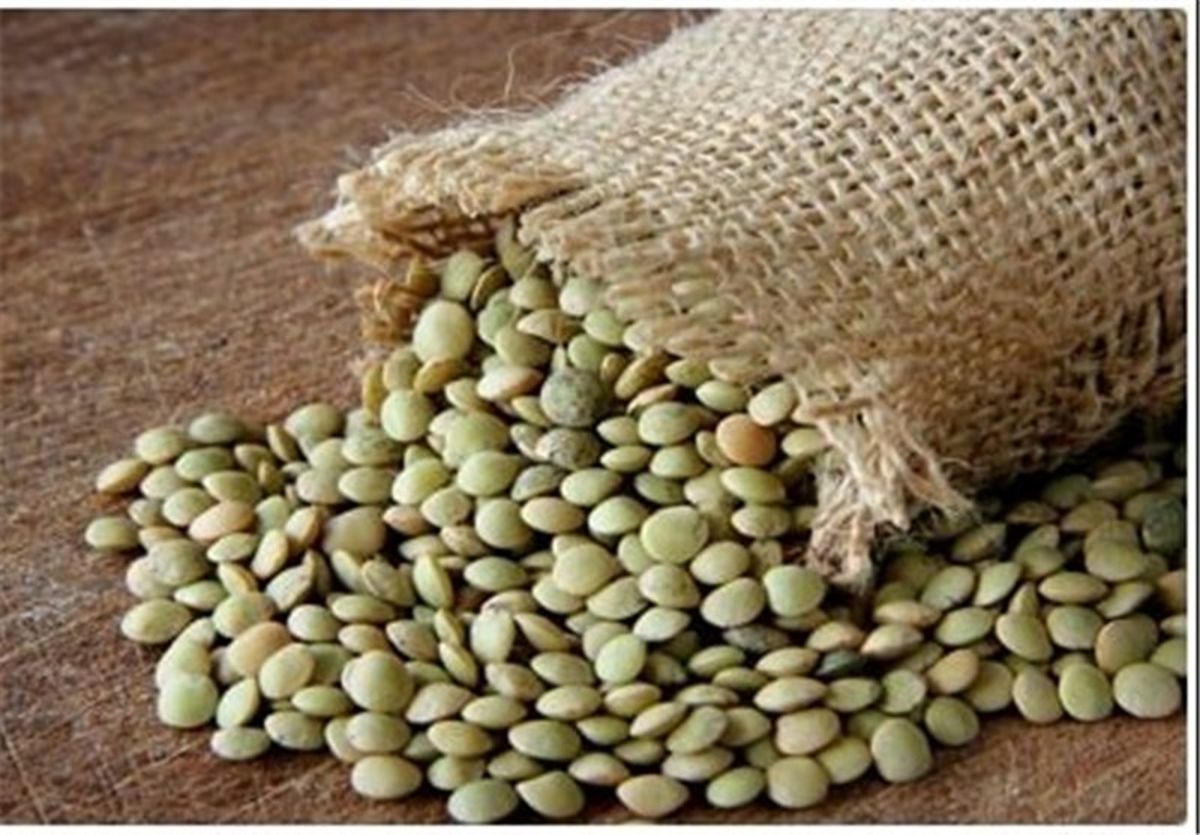 خواص عدس و تاثیرات آن