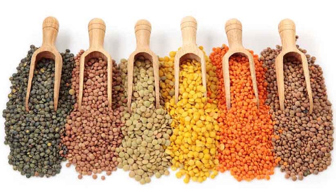 خواص عدس و تاثیرات آن