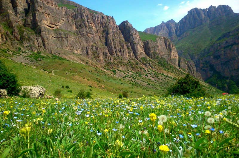 معرفی طبیعت زیبای آبشار هریجان