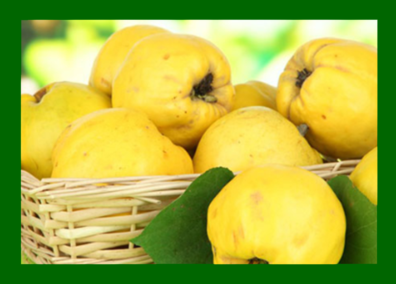 خواص و مضرات میوه به چیست؟ خواص و مضرات میوه به چیست؟