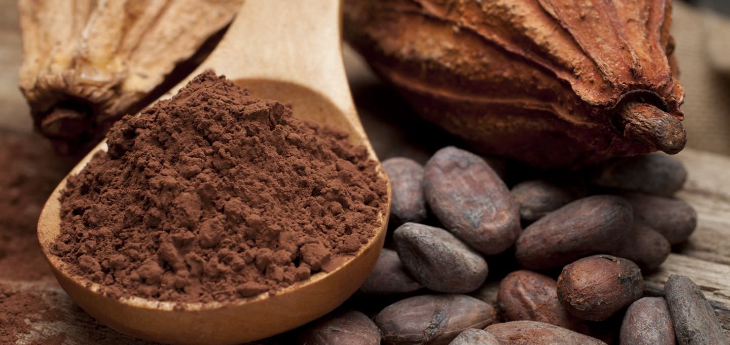 کاکائو مفید است یا مضر؟