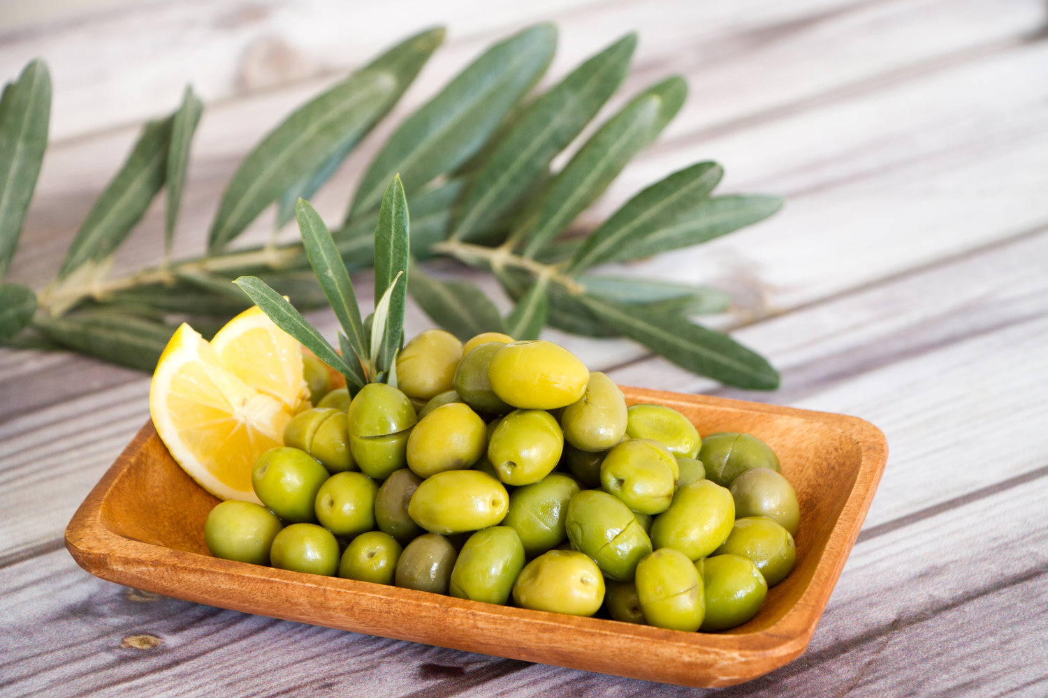 انواع زیتون و خواص بی نظیر آن انواع زیتون و خواص بی نظیر آن