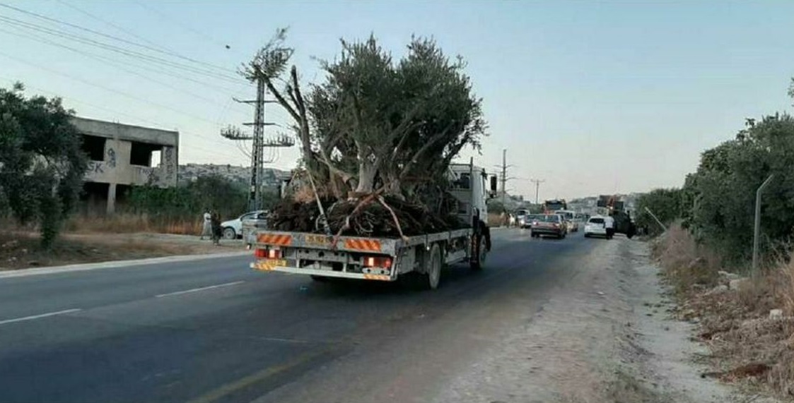 سرقتهای عجیب در ایران ؛ ورژن ۱۴۰۱ سرقتهای عجیب در ایران ؛ ورژن ۱۴۰۱