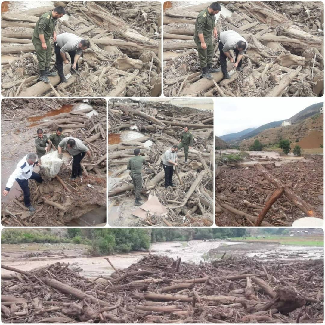 سیل تابستانی