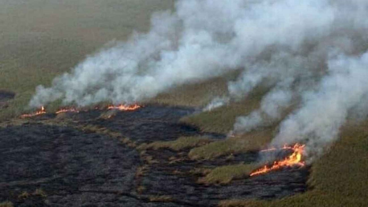 تالاب انزلی