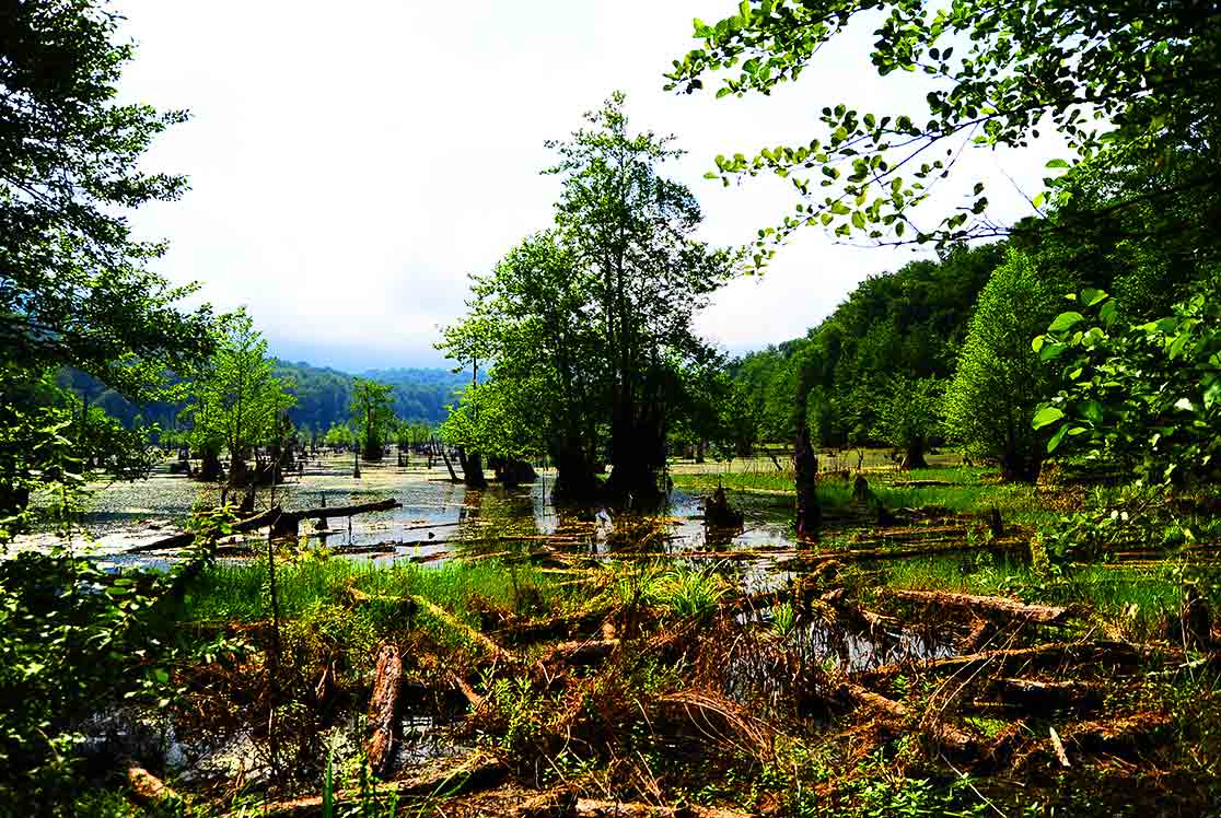 معرفی دریاچه ارواح استان مازندران