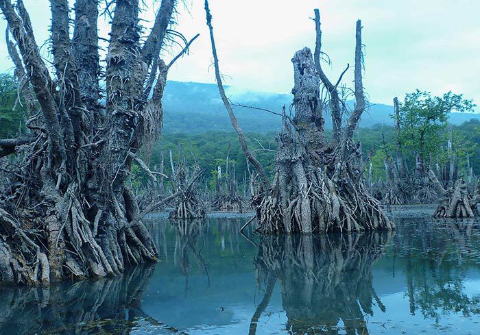 معرفی جاذبه های دریاچه ارواح استان مازندران