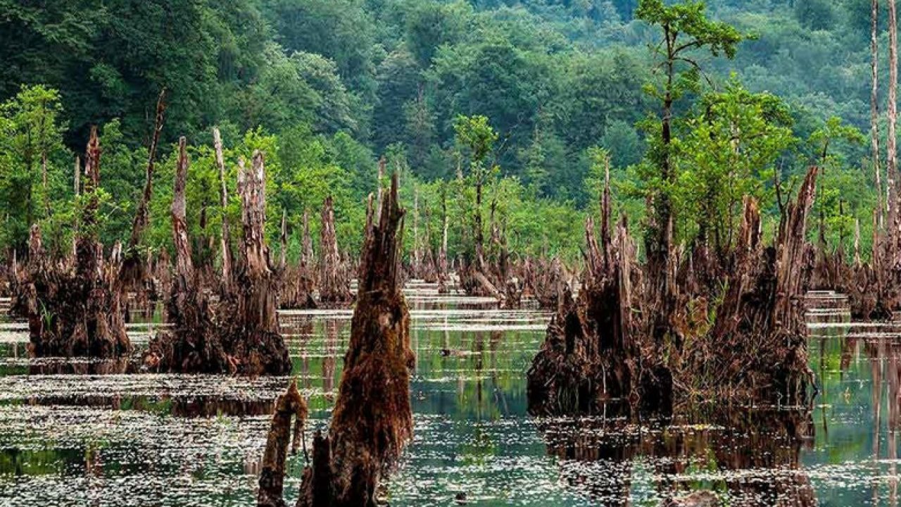 معرفی جاذبه های دریاچه ارواح استان مازندران