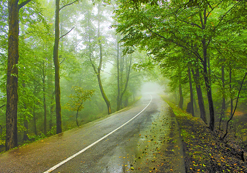 جاذبههای آبشار آب پری استان مازندران جاذبههای آبشار آب پری استان مازندران