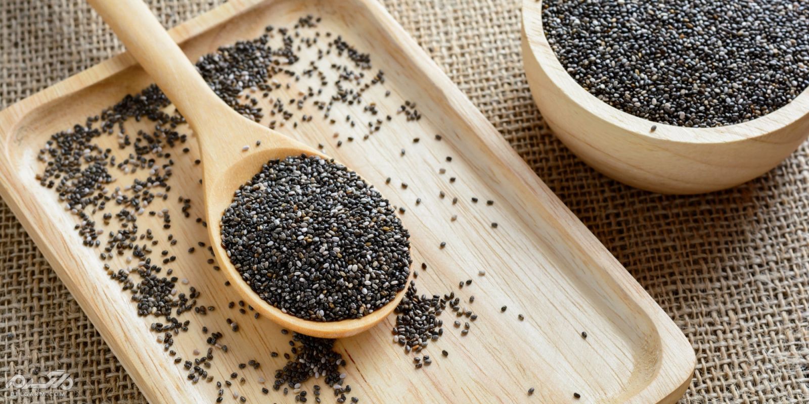 دانه چیا، یک دانه پرخاصیت