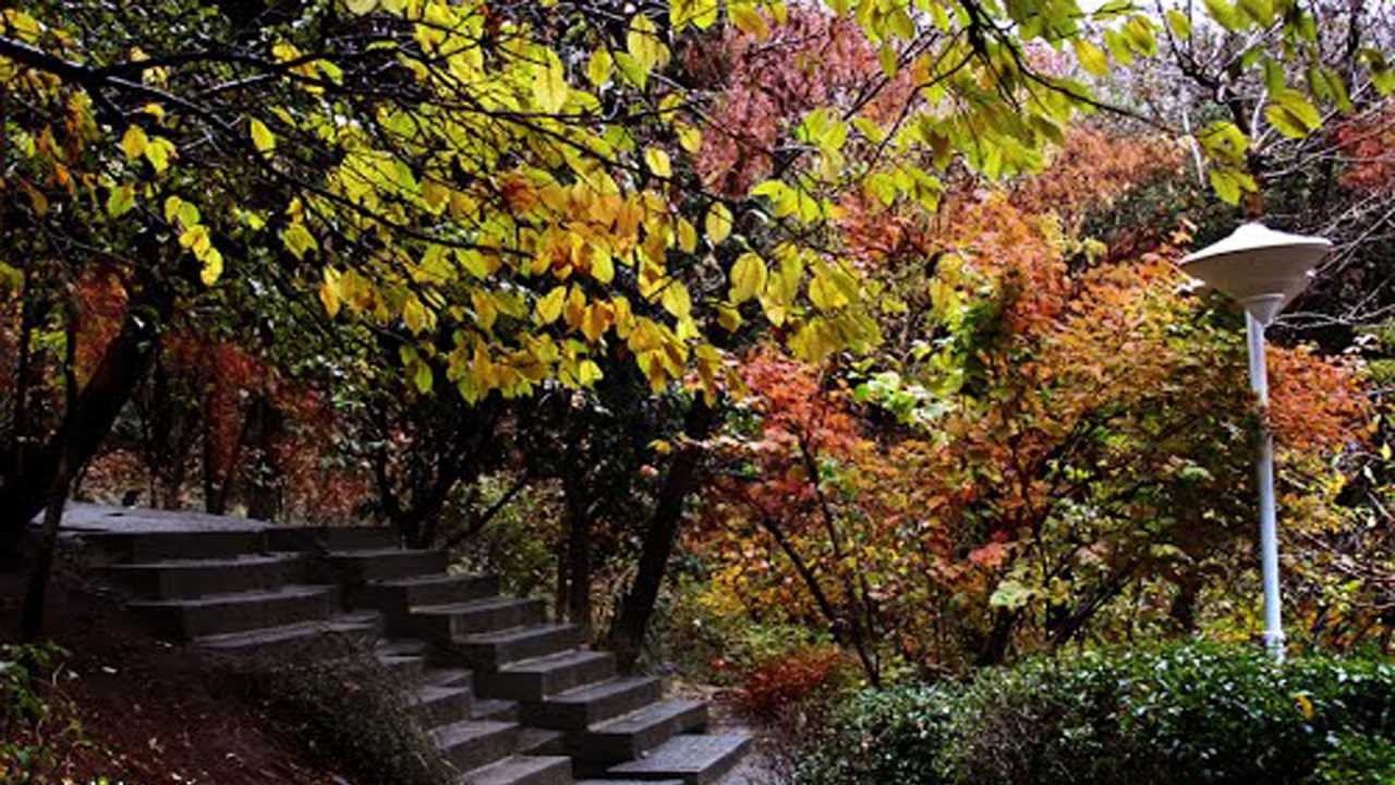 معرفی جاذبههای بوستان جمشیدیه تهران معرفی جاذبههای بوستان جمشیدیه تهران