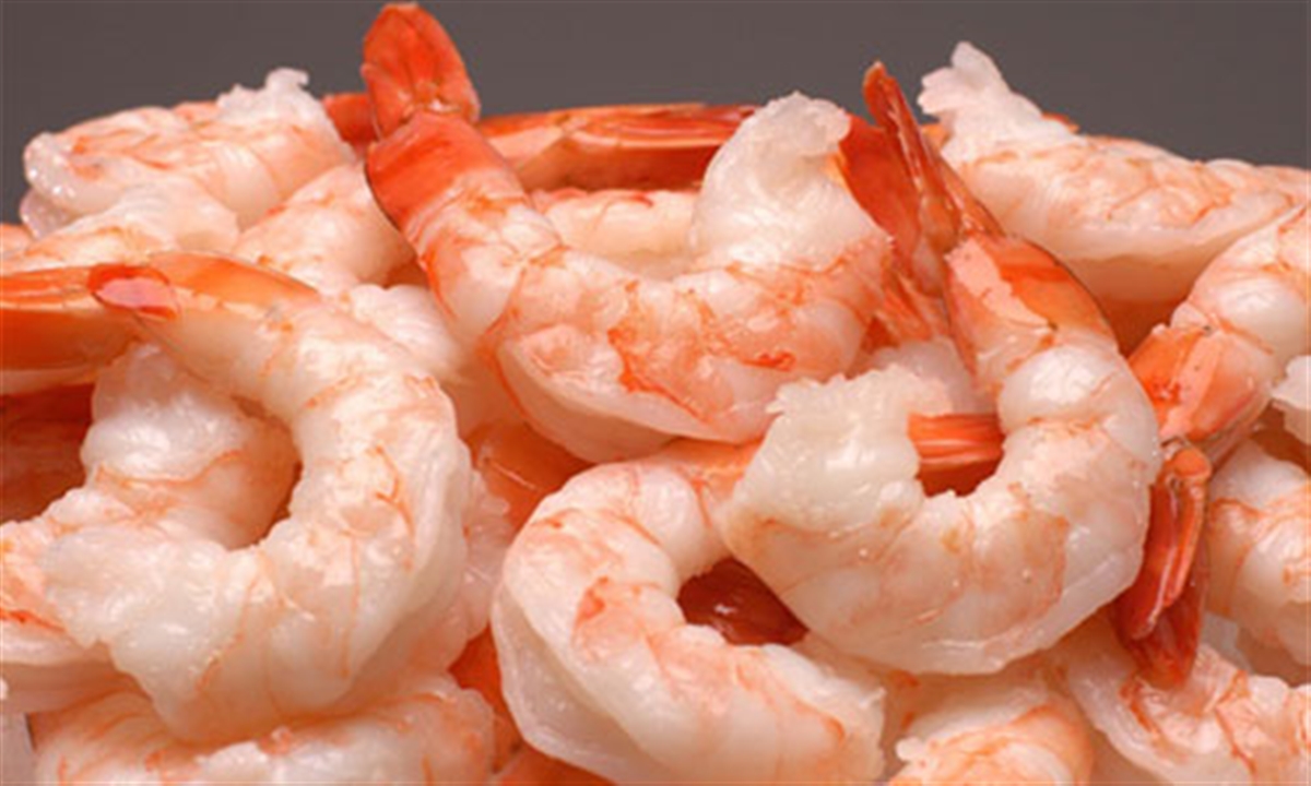 میگو، یک غذای دریایی پرخاصیت