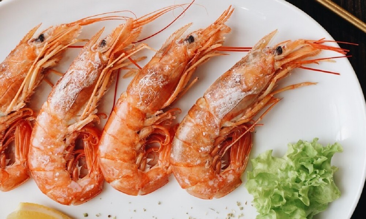 میگو، یک غذای دریایی پرخاصیت