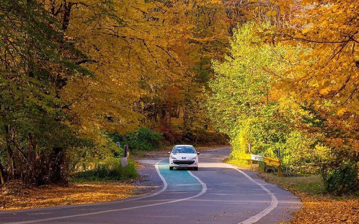 معرفی جاذبههای جنگل النگدره گرگان معرفی جاذبههای جنگل النگدره گرگان
