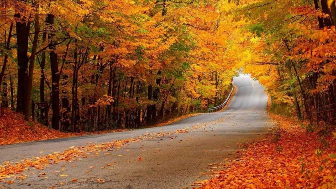 معرفی جاذبههای جنگل النگدره گرگان معرفی جاذبههای جنگل النگدره گرگان