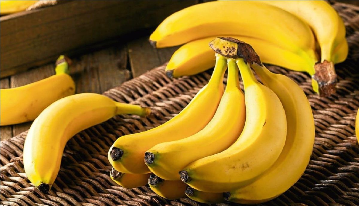 موز، میوه‌ای با خواص ضدسرطانی