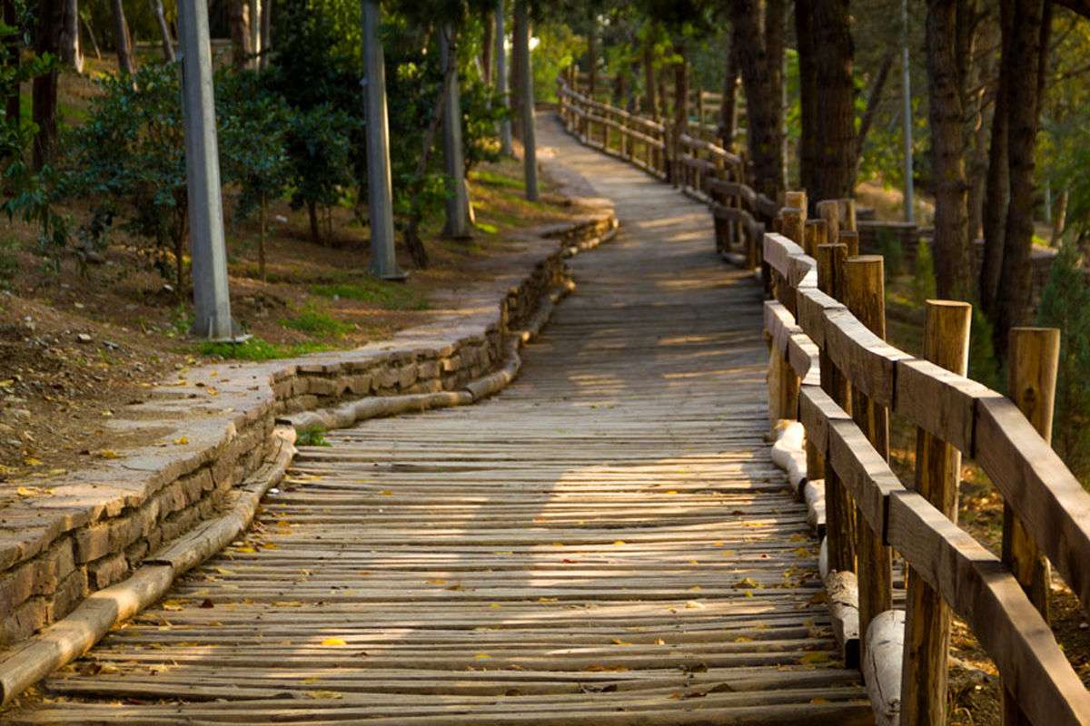 جاذبههای گردشگری پارک طالقانی تهران جاذبههای گردشگری پارک طالقانی تهران