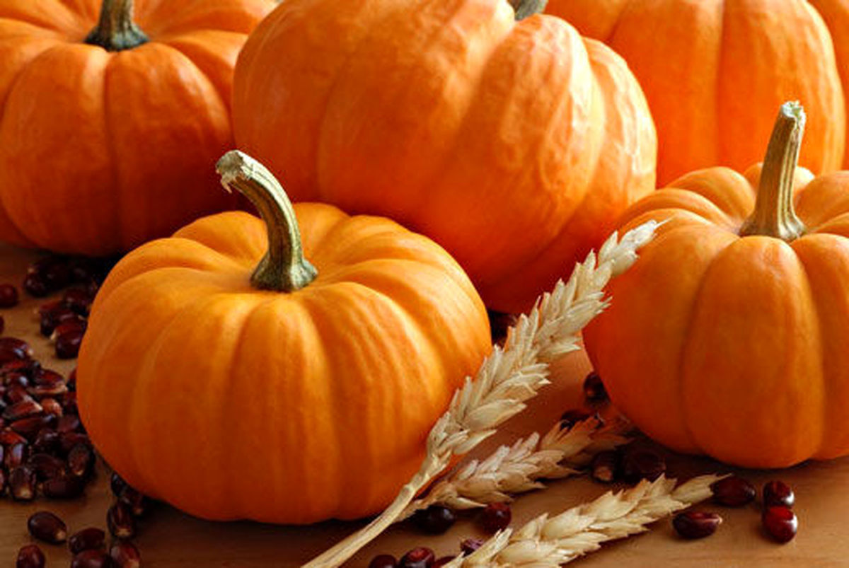 کدو حلوایی منبع تولید ریز مغذیها کدو حلوایی منبع تولید ریز مغذیها