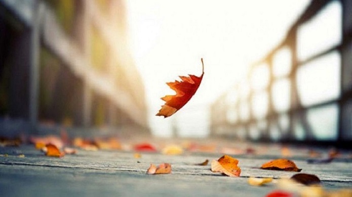 پاییز گرم و کمبارشی در راه است هواشناسی