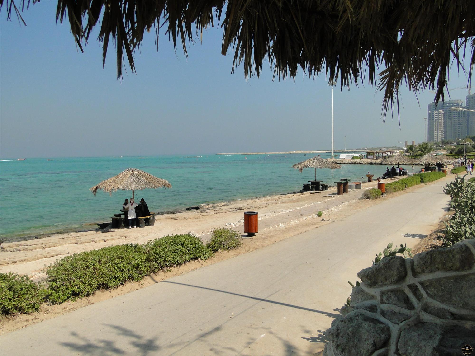 جاذبههای گردشگری ساحل مرجان جاذبههای گردشگری ساحل مرجان